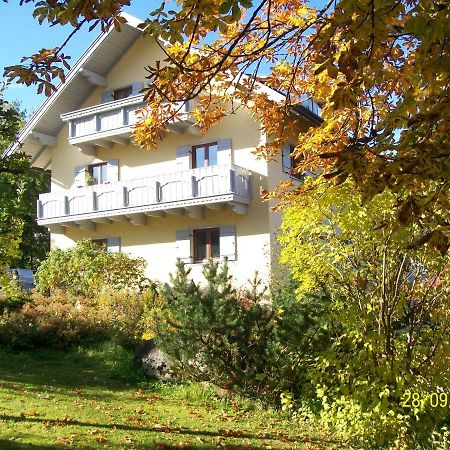 Maier Pension Hotel Bayerisch Eisenstein Exterior photo